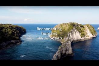 Ocean Literacy Initiatives