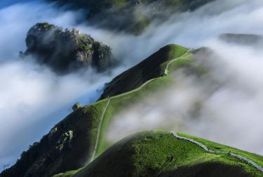 Pradera alpina en el verano, Geoparque mundial de la UNESCO de Wugongshan, China