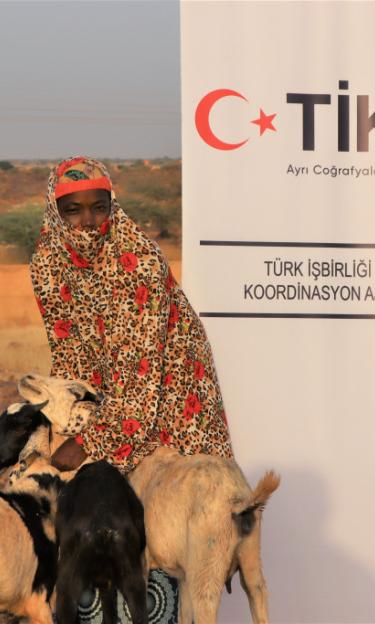 Turkish Cooperation and Coordination Agency (TİKA) provided livestock support to youth who were victims of violence in Niger. Tahoua, Niger