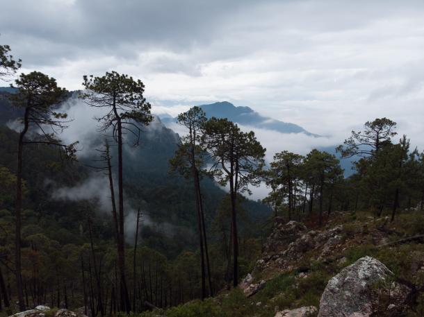 Sierra de Manantlán Biosphere Reserve