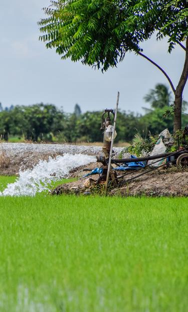 Powerful water pump in a rice field, Thailand