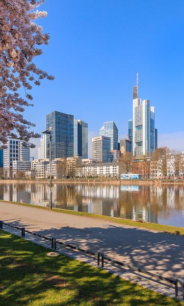 Park on the banks of the Main in Frankfurt