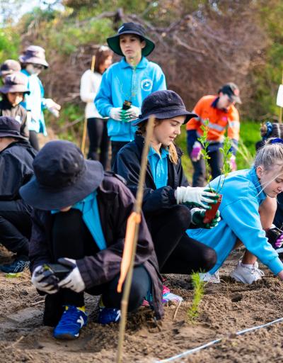 Picture of children wearing hats and blue jackets, planting tree seedlings