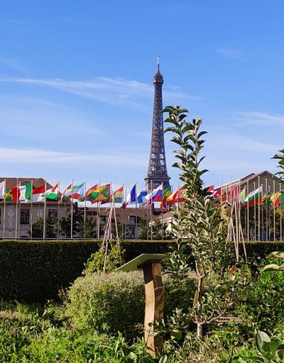 UNESCO Headquarters and Flags