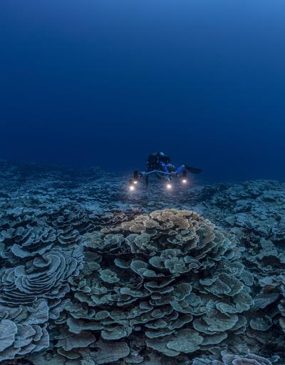 A research mission under the aegis of UNESCO exploring one of the biggest coral reefs in the world, off the coast of Tahiti. 