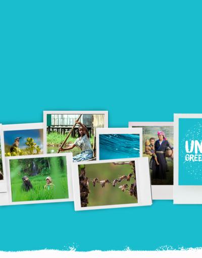 Header photo with polaroid pictures of UNESCO Green Citizens projects against a turquoise background