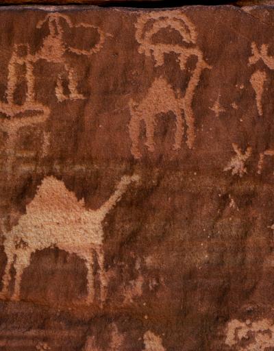 Ancient rock art depicting camels in Abu Ud, AlUla