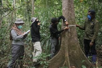 Bio-monitoring in the Bantimurung Bulusaraung - Ma'Rupanne Biosphere Reserve, Indonesia