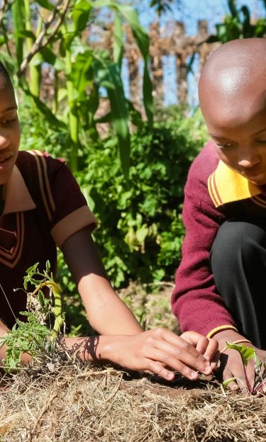 Johannesburg School children learning about agriculture and farming