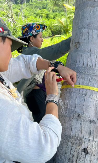 Young scientists measuring trees at the Providence Island