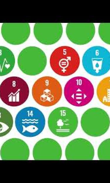 Marco de Cooperación de las Naciones Unidas para el Desarrollo Sostenible en Chile 2023-2026