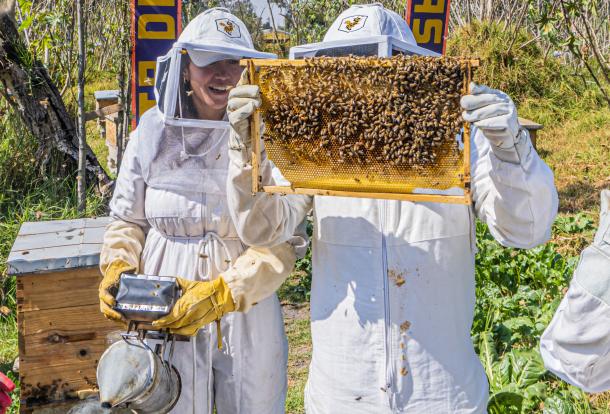 Un hombre y una mujer vestidos con trajes de protección para apicultura. El hombre sostiene una rejilla con miel y abejas. Al lado, una mujer está observando y carga otros equipos. 