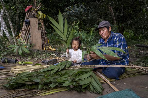 Felipe and Lesme from the Tsimane community of Gredal prepare Jatata roofs for their houses in Pilón Lajas Biosphere Reserve, Bolivia