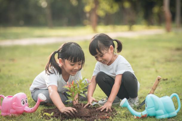 young girls planting a tree together