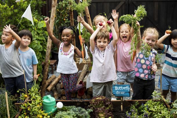 Greening schools: Where do we go from here?