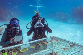 Coral Vita: Restoring Our World’s Dying Reefs