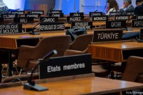 Revision of the 1974 Recommendation: UNESCO Member States reach consensus 