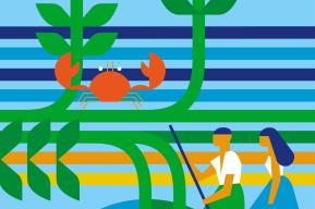 Restauración de manglares como solución basada en la naturaleza en reservas de biosfera de América Latina