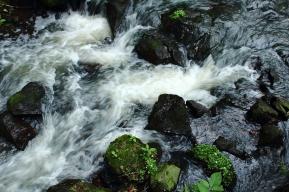 AquaLAC y RIBAGUA: Contribución a los desafíos hidrológicos en América Latina y el Caribe