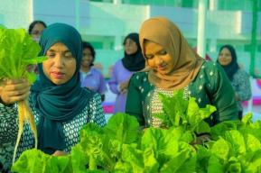 马尔代夫的绿色学校：赋予可持续变革推动者权力