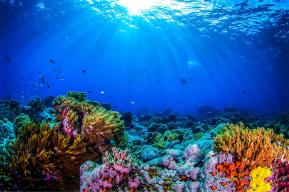 UNESCO Chairs pooling expertise for greater knowledge of ocean science