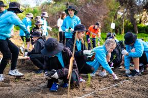 À l'école de la forêt : Découvrez la révolution forestière Miyawaki de Grey Coupland dans le podcast UNESCO Green Citizens ! 