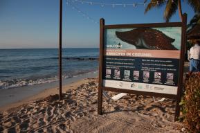 La UNESCO México y el Ayuntamiento de Cozumel unen esfuerzos para la conservación de los arrecifes de coral y el fomento del turismo cultural
