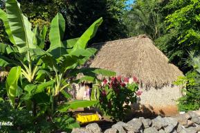 Las prácticas agrícolas tradicionales de los Mayas de la Península de Yucatán