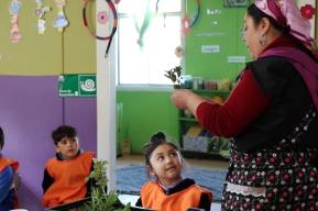Chile teacher training programme brings green science to life in indigenous regions 