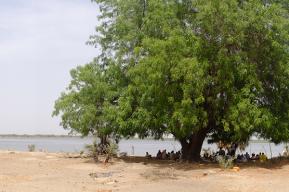 Lake Chad: UNESCO promotes the consideration of the ecological crisis at the Berlin Conference 