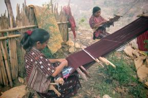 土著女童正走上领导危地马拉之路 