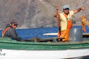 智利胡安·费尔南德斯群岛社区提议以自然为本的解决方案应对气候变化