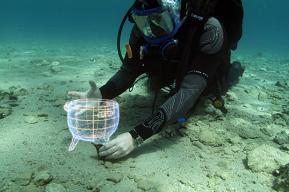 Virtual Museums on Underwater Cultural Heritage respond to the Covid-19 crisis