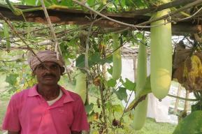 Vegetable farming training improves lives in Nepal's Sarlahi district