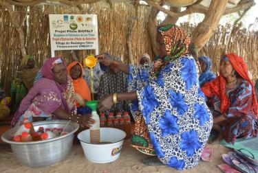 Women taking part in production of balanites oil in Niger near lake Chad