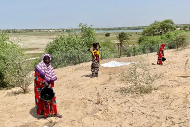 women watering plant in the restored dune plain of Artomossi, Chad